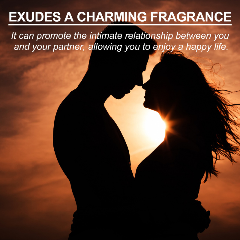 록셀리스 남성용 콜로뉴는 자연스럽고 가벼운 향으로 매력 - On Perfume & Fragrance Kota Bogor 리뷰 및 가격