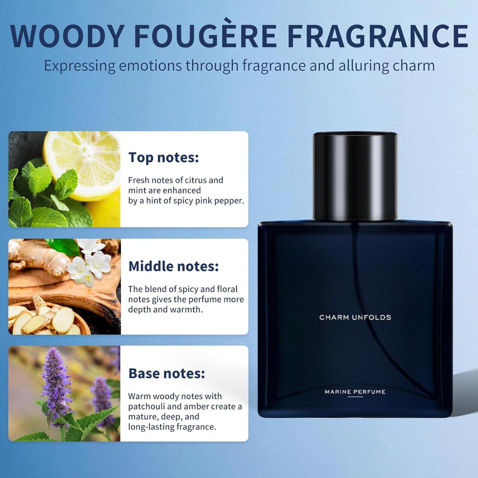 남성용 향수 EDT 스프레이 자연스러운 장시간 지속 5 - Perfume Fragrance Hair Spray 리뷰 및 가격